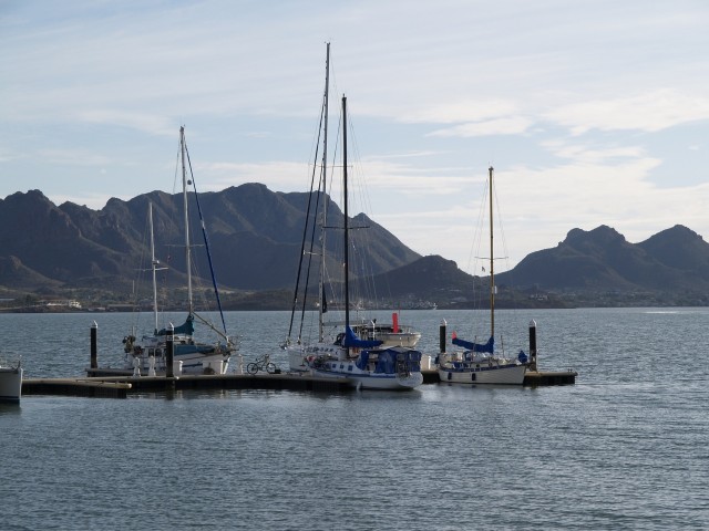 Plume at the Guaymas marina